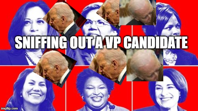 Insuring female VP can pass the Smell Test | SNIFFING OUT A VP CANDIDATE | image tagged in vp candidates,smell,sniff | made w/ Imgflip meme maker