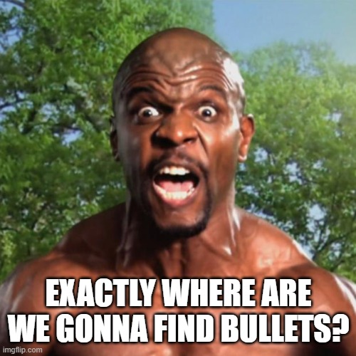 Terry Crews | EXACTLY WHERE ARE WE GONNA FIND BULLETS? | image tagged in terry crews | made w/ Imgflip meme maker