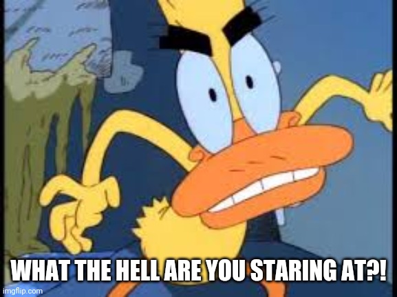 WHAT THE HELL ARE YOU STARING AT?! | image tagged in duckman | made w/ Imgflip meme maker