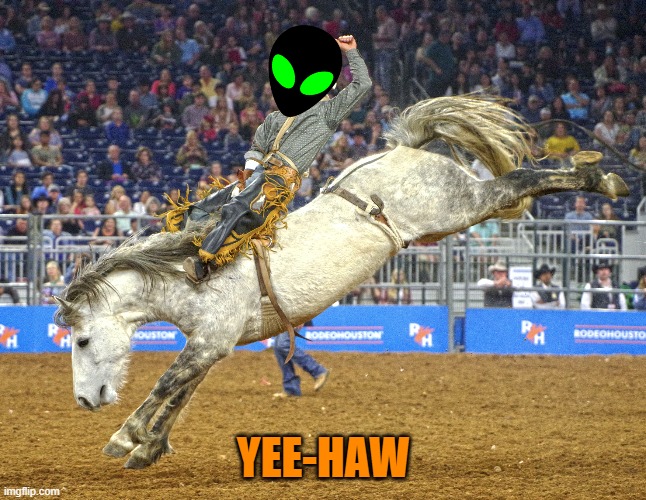 YEE-HAW | made w/ Imgflip meme maker