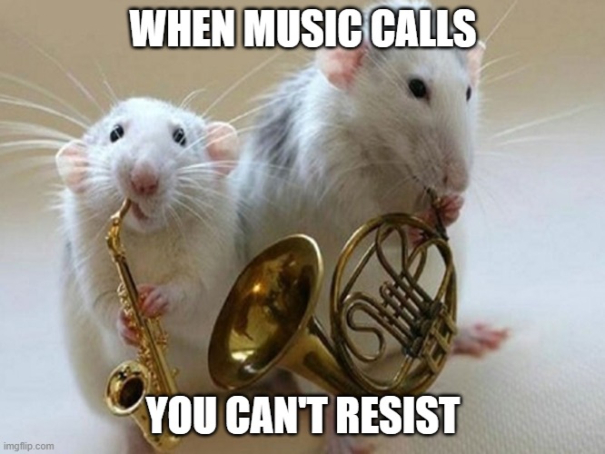 musical animals | WHEN MUSIC CALLS; YOU CAN'T RESIST | image tagged in musical animals | made w/ Imgflip meme maker