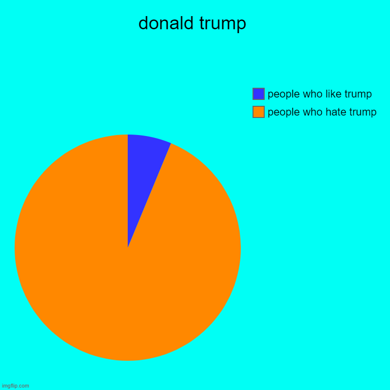 donald trump | people who hate trump, people who like trump | image tagged in charts,pie charts | made w/ Imgflip chart maker