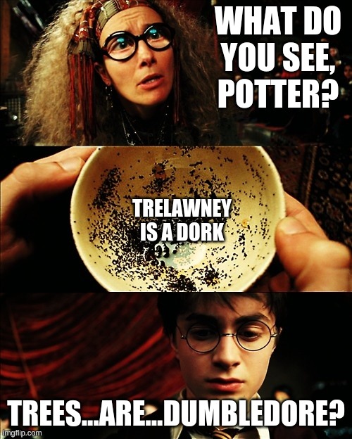 harry potter | WHAT DO YOU SEE, POTTER? TRELAWNEY IS A DORK; TREES...ARE...DUMBLEDORE? | image tagged in harry potter | made w/ Imgflip meme maker