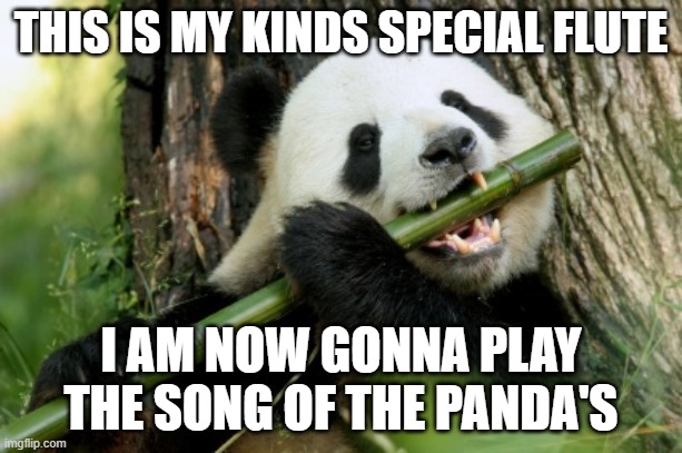 Panda Flute | THIS IS MY KINDS SPECIAL FLUTE; I AM NOW GONNA PLAY THE SONG OF THE PANDA'S | image tagged in panda flute | made w/ Imgflip meme maker