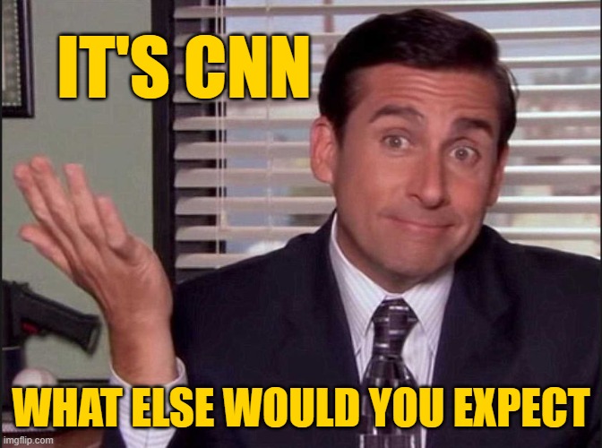Michael Scott | IT'S CNN WHAT ELSE WOULD YOU EXPECT | image tagged in michael scott | made w/ Imgflip meme maker