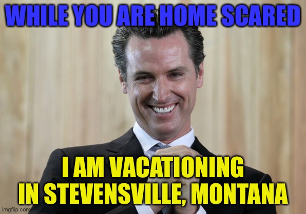 Scheming Gavin Newsom  | WHILE YOU ARE HOME SCARED; I AM VACATIONING IN STEVENSVILLE, MONTANA | image tagged in scheming gavin newsom,gavin | made w/ Imgflip meme maker