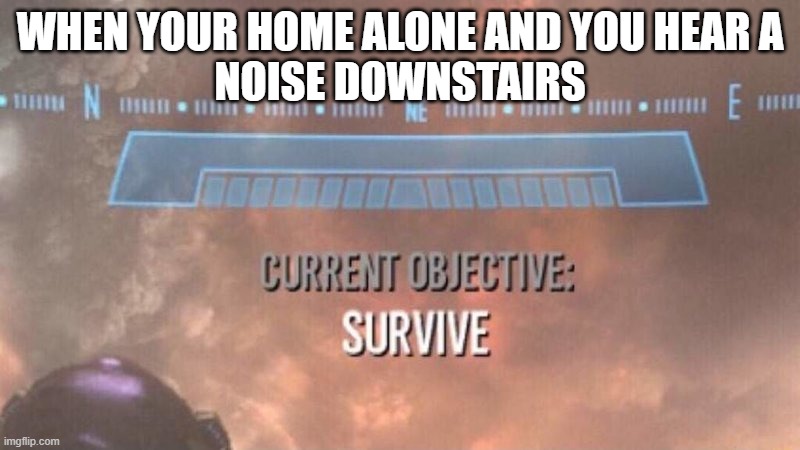 My First Meme | WHEN YOUR HOME ALONE AND YOU HEAR A
NOISE DOWNSTAIRS | image tagged in current objective survive | made w/ Imgflip meme maker