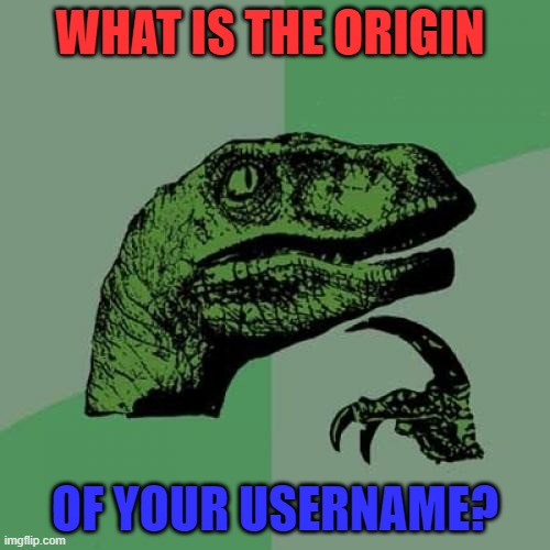 Philosoraptor Meme | WHAT IS THE ORIGIN; OF YOUR USERNAME? | image tagged in memes,philosoraptor,username,origin | made w/ Imgflip meme maker