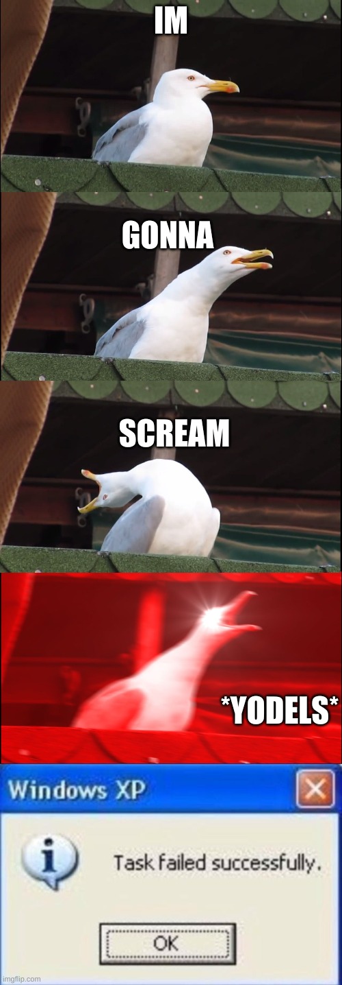 IM; GONNA; SCREAM; *YODELS* | image tagged in memes,inhaling seagull,task failed successfully | made w/ Imgflip meme maker
