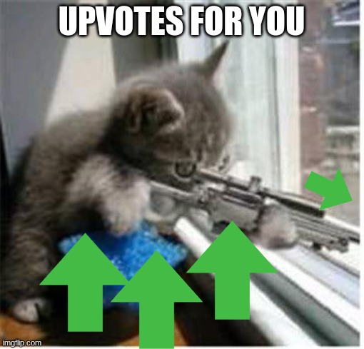 cats with guns | UPVOTES FOR YOU | image tagged in cats with guns | made w/ Imgflip meme maker