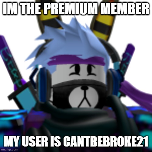 Add me | IM THE PREMIUM MEMBER; MY USER IS CANTBEBROKE21 | image tagged in y u no | made w/ Imgflip meme maker