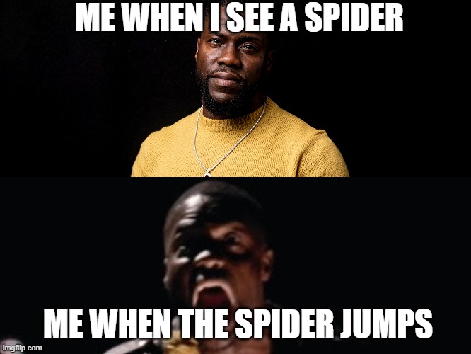 ME WHEN I SEE A SPIDER; ME WHEN THE SPIDER JUMPS | image tagged in kevin hart | made w/ Imgflip meme maker