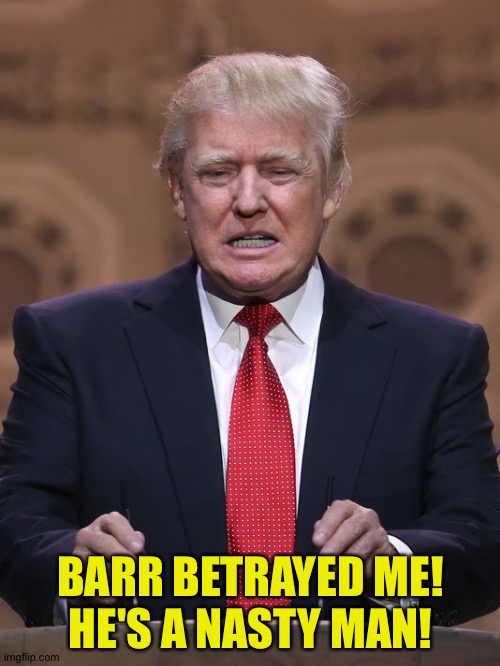 Donald Trump | BARR BETRAYED ME!
HE'S A NASTY MAN! | image tagged in donald trump | made w/ Imgflip meme maker
