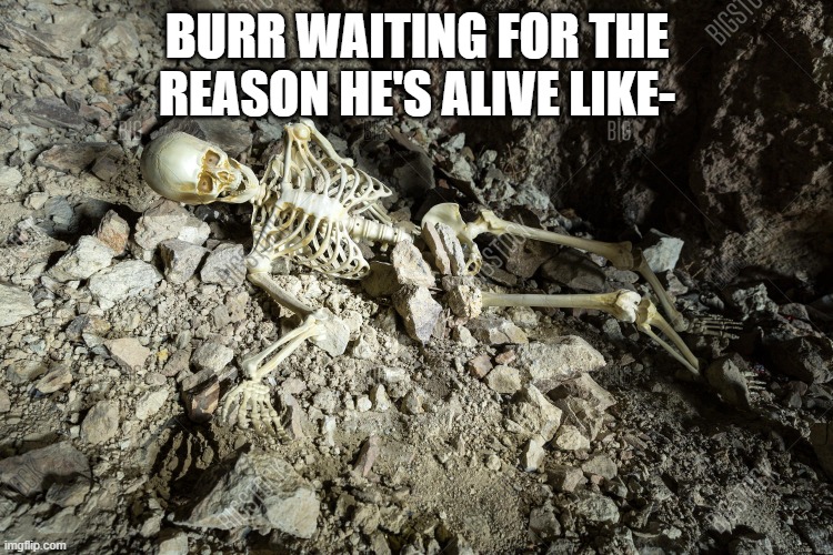 Burr waiting for it | BURR WAITING FOR THE REASON HE'S ALIVE LIKE- | image tagged in hamilton | made w/ Imgflip meme maker