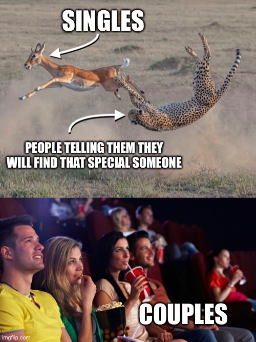 Crowd enjoys a struggle | SINGLES; PEOPLE TELLING THEM THEY WILL FIND THAT SPECIAL SOMEONE; COUPLES | image tagged in singles,couples,predator,prey,erh | made w/ Imgflip meme maker