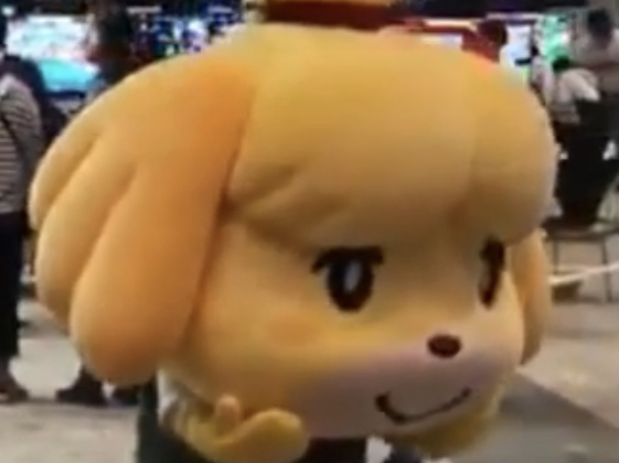 High Quality Isabelle Omg Blank Meme Template