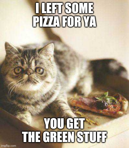 THANKS CAT | I LEFT SOME PIZZA FOR YA; YOU GET THE GREEN STUFF | image tagged in cats,pizza,funny cats | made w/ Imgflip meme maker