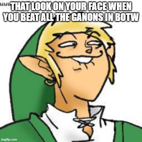 lol of zelda | THAT LOOK ON YOUR FACE WHEN YOU BEAT ALL THE GANONS IN BOTW | image tagged in lol of zelda | made w/ Imgflip meme maker