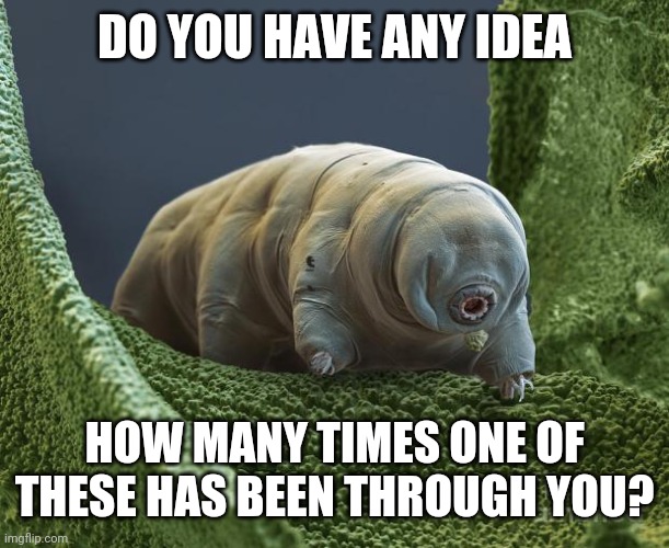water bear is hard as fuq | DO YOU HAVE ANY IDEA HOW MANY TIMES ONE OF THESE HAS BEEN THROUGH YOU? | image tagged in water bear is hard as fuq | made w/ Imgflip meme maker