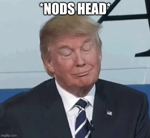 Trump Nod | *NODS HEAD* | image tagged in trump nod | made w/ Imgflip meme maker