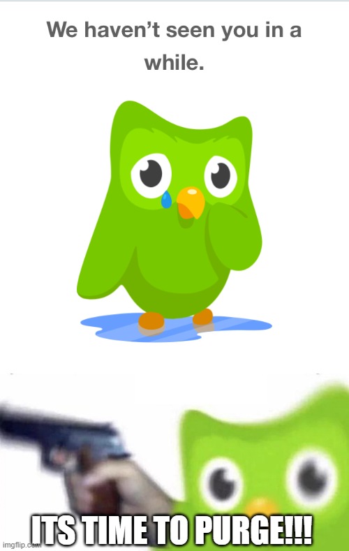 Sad Duolingo Bird | ITS TIME TO PURGE!!! | image tagged in sad duolingo bird | made w/ Imgflip meme maker