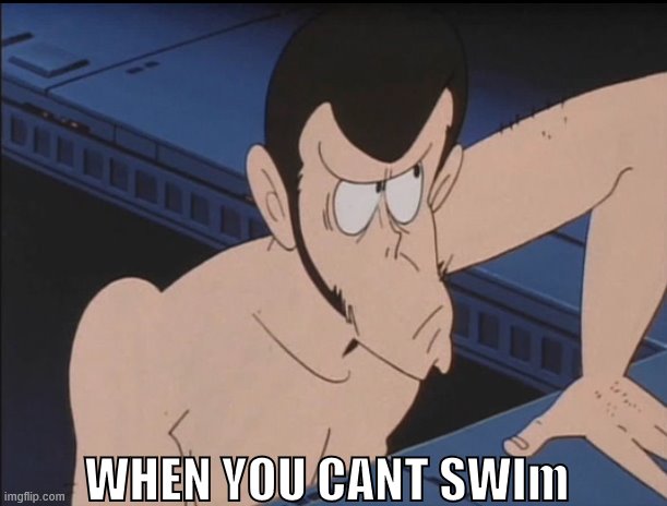 WHEN YOU CANT SWIm | image tagged in just keep swimming,swimsuit,fun | made w/ Imgflip meme maker