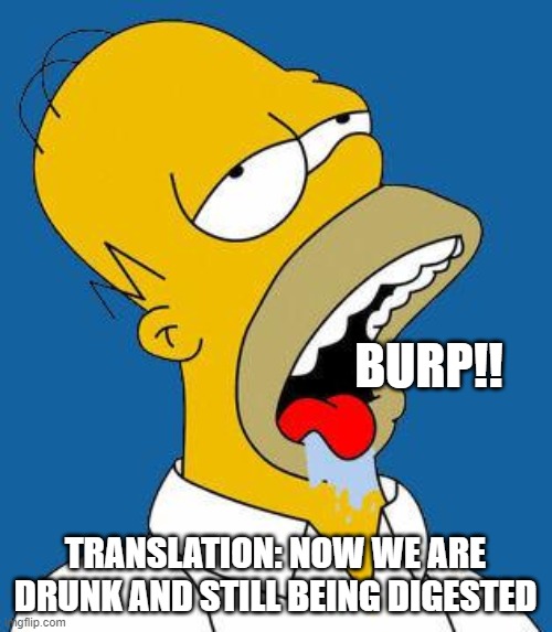 Homer Drooling | BURP!! TRANSLATION: NOW WE ARE DRUNK AND STILL BEING DIGESTED | image tagged in homer drooling | made w/ Imgflip meme maker