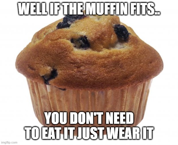 Well if the muffin fits | WELL IF THE MUFFIN FITS.. YOU DON'T NEED TO EAT IT JUST WEAR IT | image tagged in skeppy,badboyhalo | made w/ Imgflip meme maker