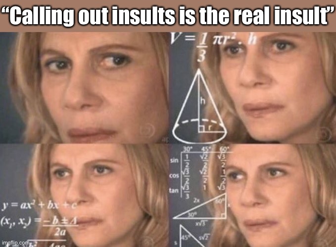 It’s... not. | “Calling out insults is the real insult” | image tagged in confused woman,insults,insult,trolls,trolling,respect | made w/ Imgflip meme maker