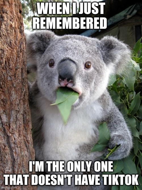 Surprised Koala Meme | WHEN I JUST REMEMBERED; I'M THE ONLY ONE THAT DOESN'T HAVE TIKTOK | image tagged in memes,surprised koala | made w/ Imgflip meme maker