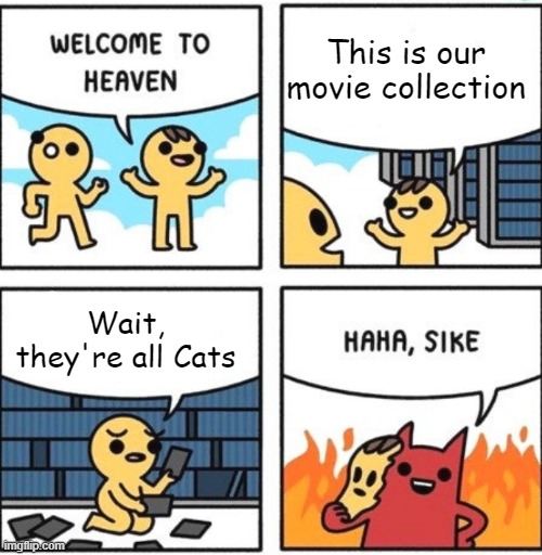 Welcome to heaven | This is our movie collection; Wait, they're all Cats | image tagged in welcome to heaven | made w/ Imgflip meme maker