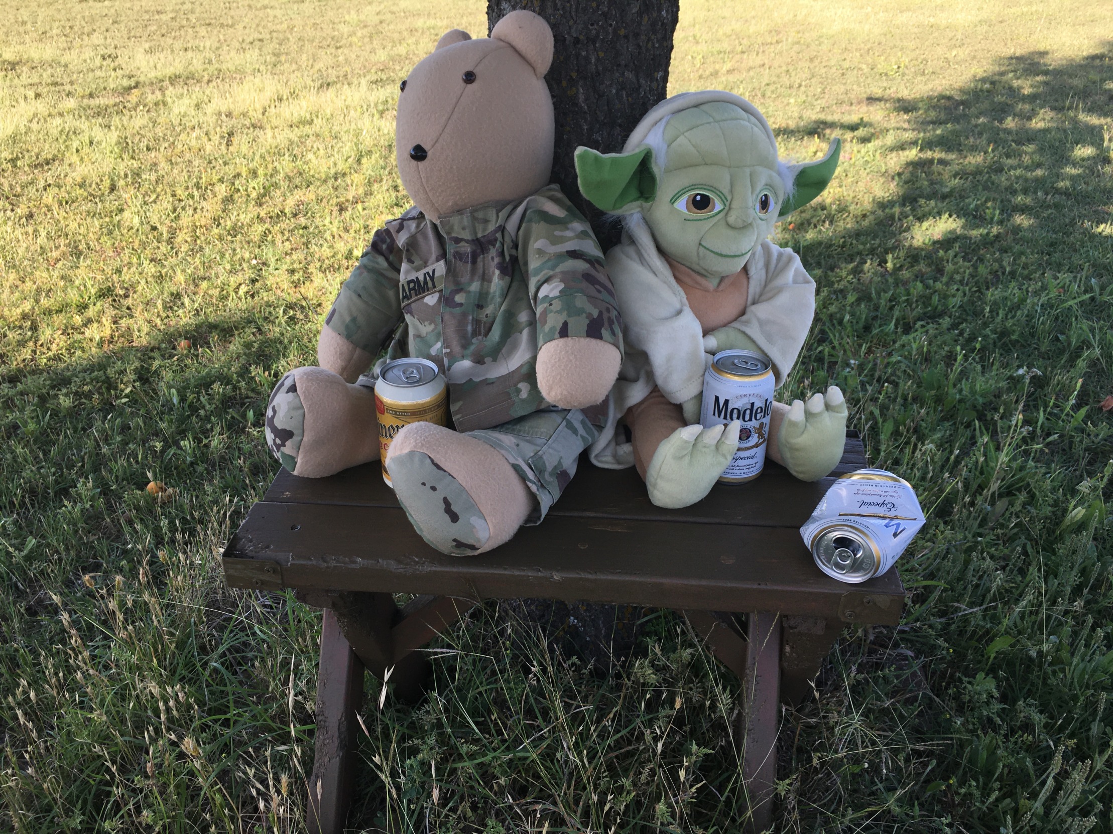 Soldier Bear and Yoda Blank Meme Template