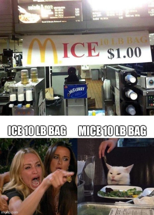 ICE 10 LB BAG; MICE 10 LB BAG | image tagged in memes,woman yelling at cat,mice,design fails,oof,funny | made w/ Imgflip meme maker