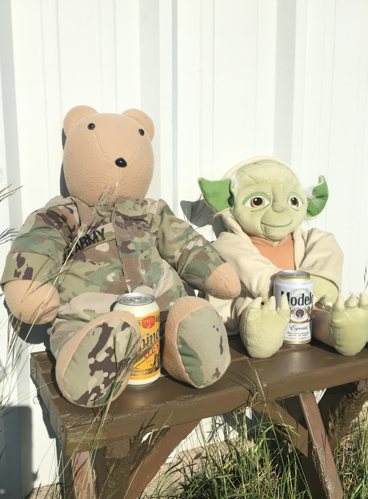 Yoda and Soldier Bear Blank Meme Template