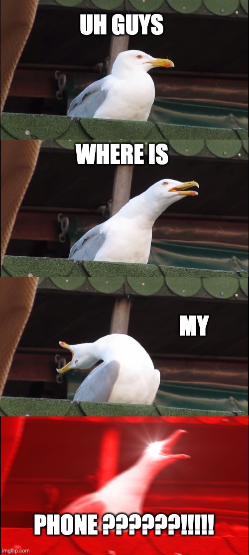 Inhaling Seagull Meme | UH GUYS; WHERE IS; MY; PHONE ??????!!!!! | image tagged in memes,inhaling seagull | made w/ Imgflip meme maker