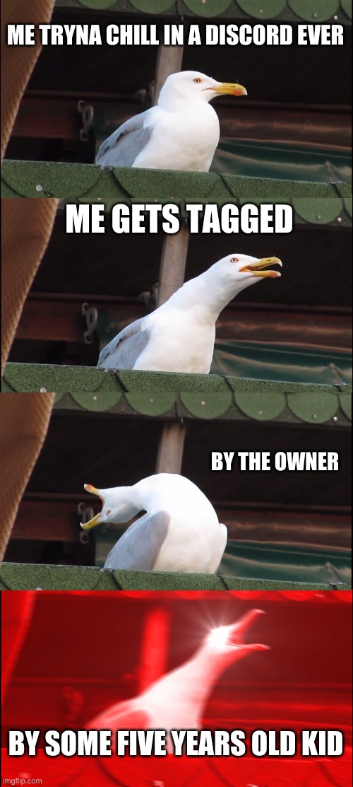 How it be like on Discord | ME TRYNA CHILL IN A DISCORD EVER; ME GETS TAGGED; BY THE OWNER; BY SOME FIVE YEARS OLD KID | image tagged in memes,inhaling seagull | made w/ Imgflip meme maker
