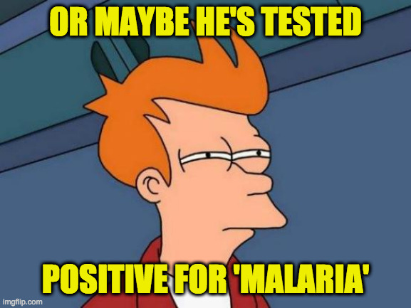 Futurama Fry Meme | OR MAYBE HE'S TESTED POSITIVE FOR 'MALARIA' | image tagged in memes,futurama fry | made w/ Imgflip meme maker