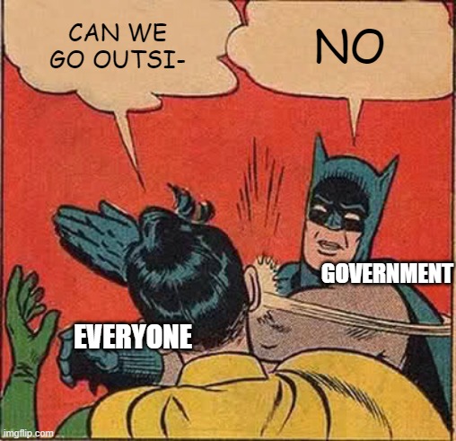 Batman Slapping Robin Meme | CAN WE GO OUTSI-; NO; GOVERNMENT; EVERYONE | image tagged in memes,batman slapping robin,coronavirus,funny,batman,rare | made w/ Imgflip meme maker
