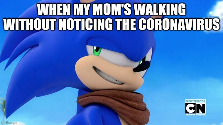 Sanic BAAM (Sonic Boom) | WHEN MY MOM'S WALKING WITHOUT NOTICING THE CORONAVIRUS | image tagged in sonic meme | made w/ Imgflip meme maker