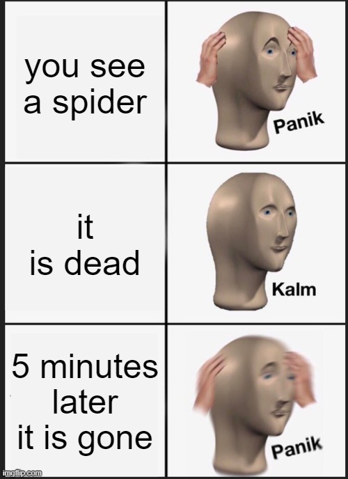 Panik Kalm Panik | you see a spider; it is dead; 5 minutes later it is gone | image tagged in memes,panik kalm panik | made w/ Imgflip meme maker