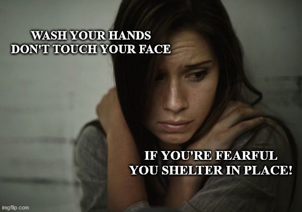 Shelter in Place | WASH YOUR HANDS
DON'T TOUCH YOUR FACE; IF YOU'RE FEARFUL

YOU SHELTER IN PLACE! | image tagged in fear | made w/ Imgflip meme maker
