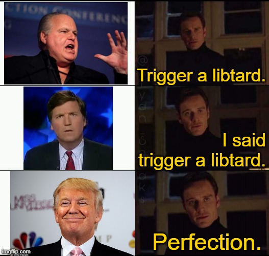 Some TDS triggers are stronger than others. | Trigger a libtard. I said trigger a libtard. Perfection. | image tagged in show me the real,trump,rush limbaugh,tucker carlson,election 2020,biden | made w/ Imgflip meme maker