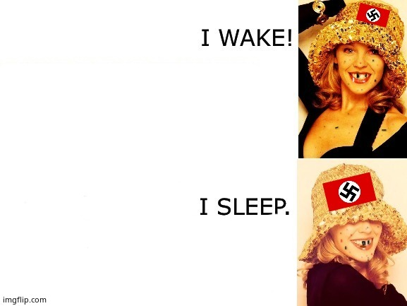 High Quality Kylie I wake/I sleep accurate Blank Meme Template