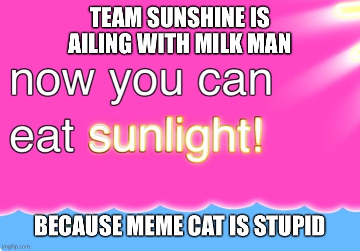 Now You Can Eat Sunlight | TEAM SUNSHINE IS AILING WITH MILK MAN; BECAUSE MEME CAT IS STUPID | image tagged in now you can eat sunlight | made w/ Imgflip meme maker