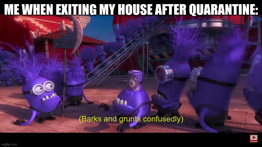 ME WHEN EXITING MY HOUSE AFTER QUARANTINE: | image tagged in confused minion | made w/ Imgflip meme maker