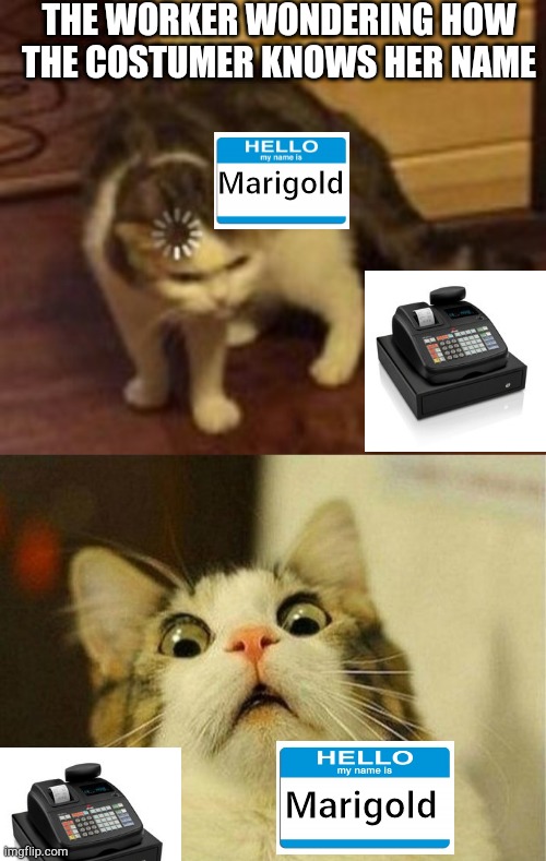 Customer:Marigold,how much money are these items? *shows cart to worker* | THE WORKER WONDERING HOW THE COSTUMER KNOWS HER NAME; Marigold; Marigold | image tagged in memes,scared cat,loading cat,grocery stores be like | made w/ Imgflip meme maker