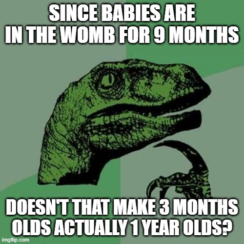 Baby life | SINCE BABIES ARE IN THE WOMB FOR 9 MONTHS; DOESN'T THAT MAKE 3 MONTHS OLDS ACTUALLY 1 YEAR OLDS? | image tagged in memes,philosoraptor | made w/ Imgflip meme maker