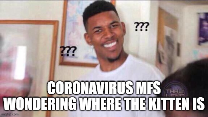 Black guy confused | CORONAVIRUS MFS WONDERING WHERE THE KITTEN IS | image tagged in black guy confused | made w/ Imgflip meme maker