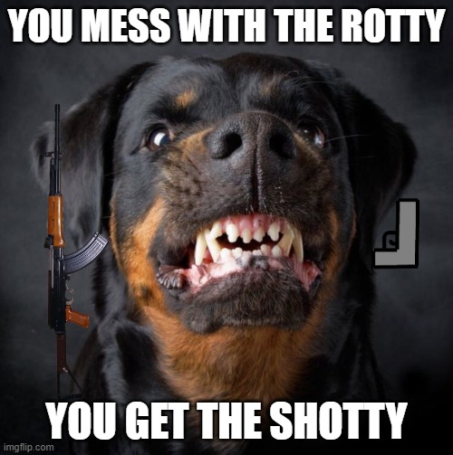 rotty | YOU MESS WITH THE ROTTY; YOU GET THE SHOTTY | image tagged in rottweiler | made w/ Imgflip meme maker