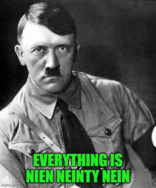 Adolf Hitler | EVERYTHING IS NIEN NEINTY NEIN | image tagged in adolf hitler | made w/ Imgflip meme maker